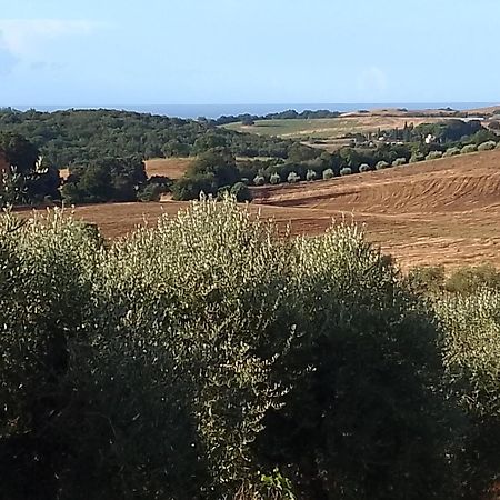 Agriturismo Le Colline Di カパルビオ エクステリア 写真