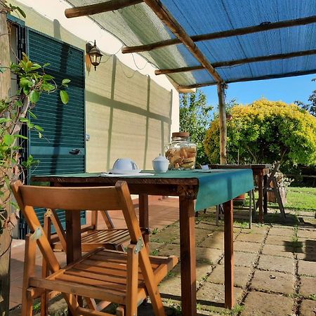 Agriturismo Le Colline Di カパルビオ エクステリア 写真