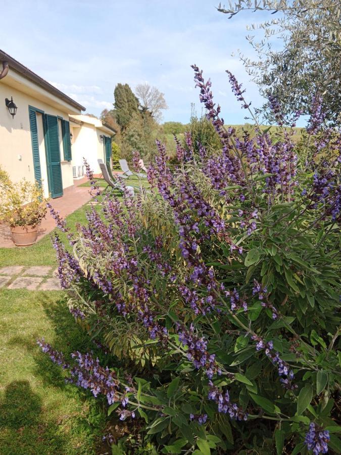 Agriturismo Le Colline Di カパルビオ エクステリア 写真