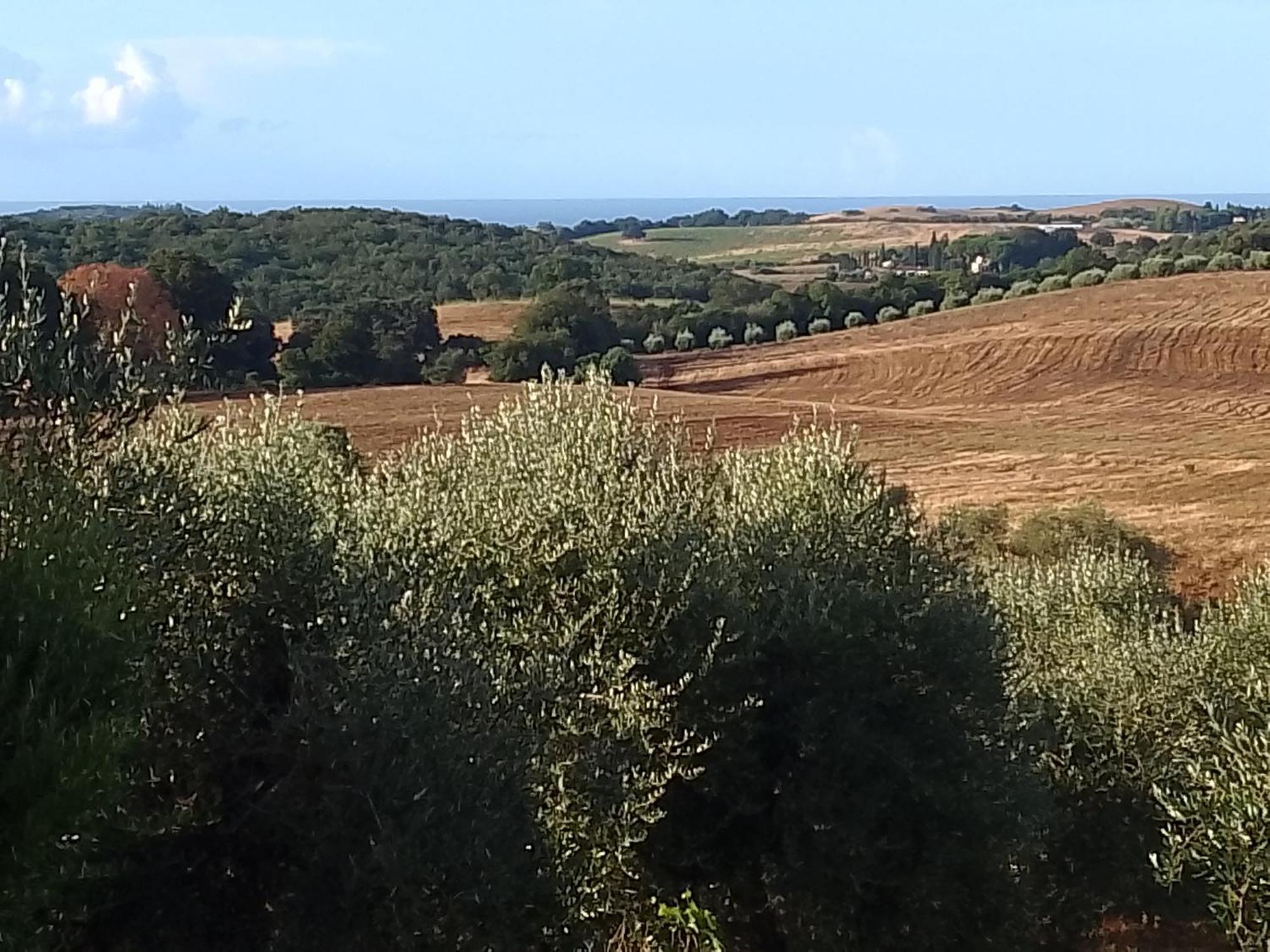 Agriturismo Le Colline Di カパルビオ エクステリア 写真