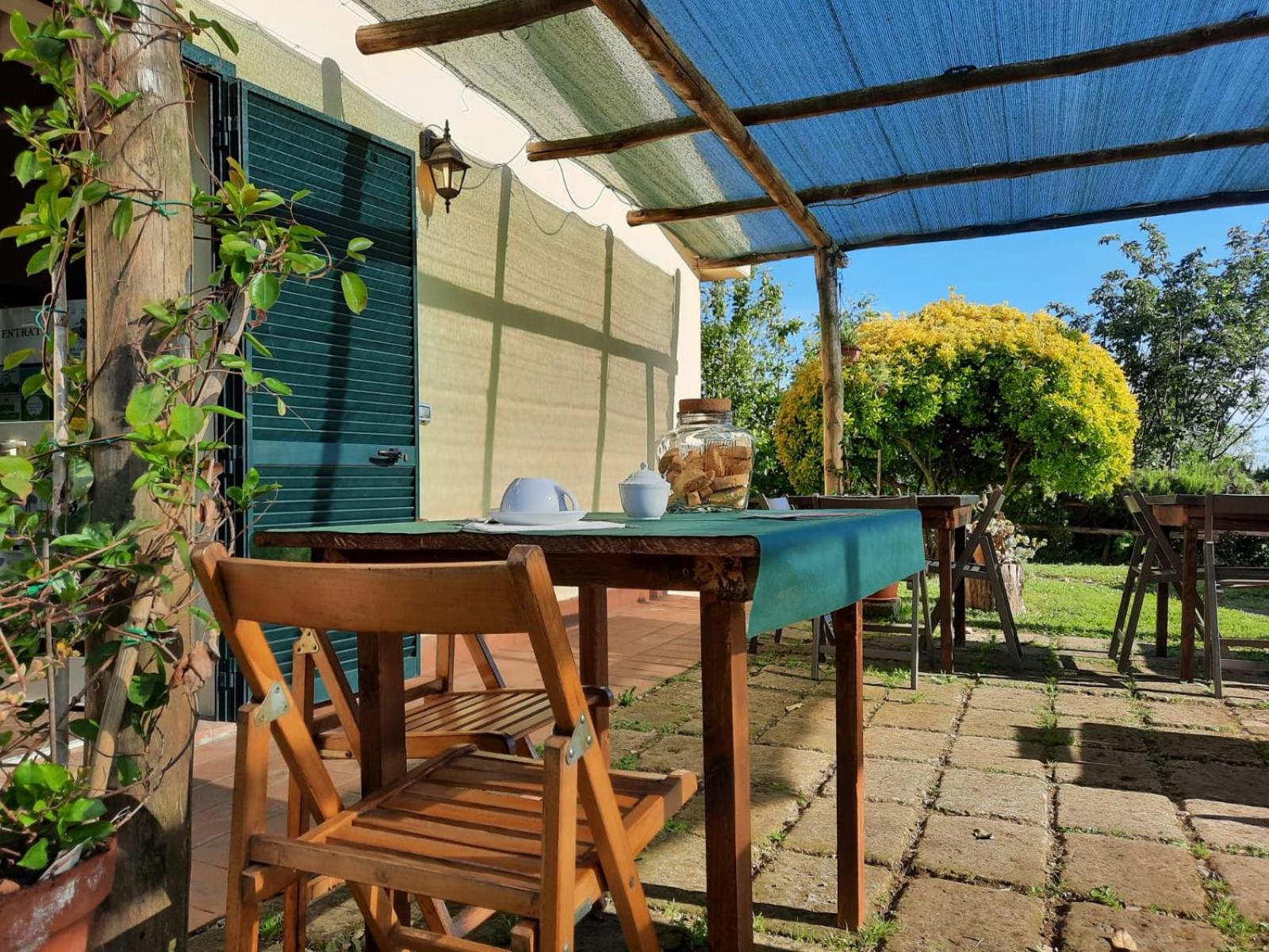Agriturismo Le Colline Di カパルビオ エクステリア 写真