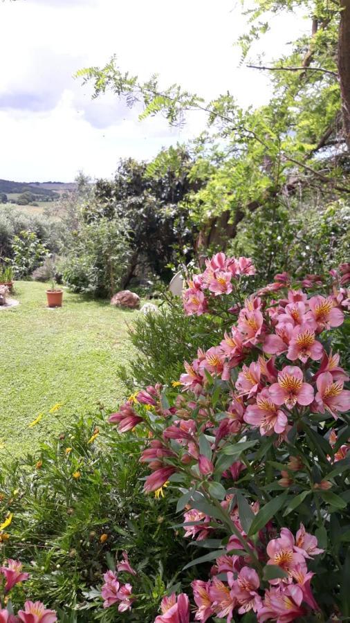 Agriturismo Le Colline Di カパルビオ エクステリア 写真
