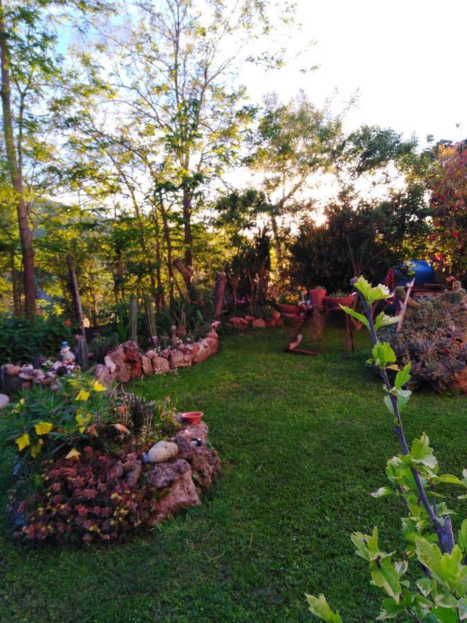 Agriturismo Le Colline Di カパルビオ エクステリア 写真